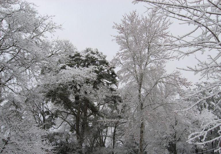 The Draw of North Texas Winter’s Warmer Climate